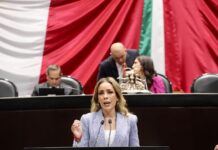 Diputada Verónica Martínez urge una estrategia nacional contra feminicidios