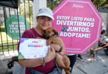 Disfrutan familias saltillenses de actividades en la Ruta Recreativa