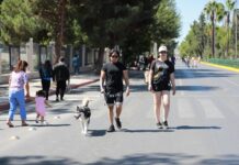 Familias asisten, como cada domingo, a convivir en la Ruta Recreativa