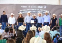 Fortalecen con mejoramiento genético al hato ganadero de Coahuila