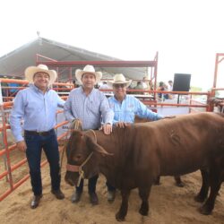Fortalecen con mejoramiento genético al hato ganadero de Coahuila7