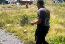 Hallan a hombre sin vida entre los matorrales en Nuevo Mirasierra