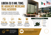 Libera EU 9 mil tons. de aguacate mexicano tras acuerdo