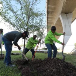 Realizan brigada de reforestación en Distribuidor Vial San Isidro
