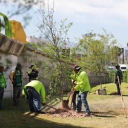 Realizan brigada de reforestación en Distribuidor Vial San Isidro1