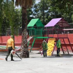 Realizan brigada de reforestación en Distribuidor Vial San Isidro4