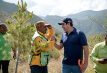 Reforestarán Municipio y RIC ENERGY 5 mil pinos en el Cañón de San Lorenzo