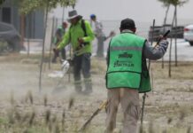 Refuerza Javier Díaz acciones de reforestación en José Musa
