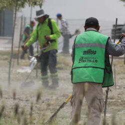 Refuerza Javier Díaz acciones de reforestación en José Musa