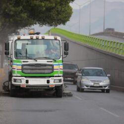 Refuerza Javier Díaz acciones de reforestación en José Musa3