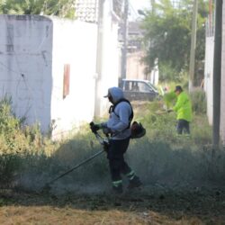 Refuerza Javier Díaz limpieza de callejones1