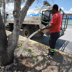 Refuerza Javier Díaz limpieza de callejones4