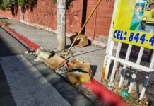 A merced de “cochinones” escuela primaria de la 26 de Marzo, piden vecinos intervención de la Policía Ambiental