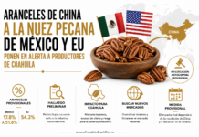 Aranceles de China a la nuez pecana de México y EU ponen en alerta a productores de Coahuila