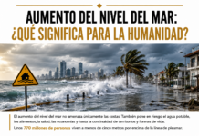 Aumento del nivel del mar: ¿qué significa para la humanidad?