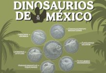 Coahuila domina la nueva colección de dinosaurios de la Casa de Moneda de México