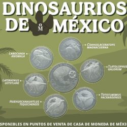 coahuila domina