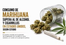 Consumo de marihuana supera al de alcohol y cigarrillos en Estados Unidos, según estudio