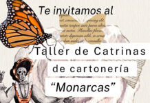 Desarrolla tu creatividad con el Taller de Cartonería “Monarcas” que ofrece de la UA de C
