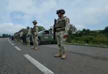 Despliega Defensa a mil 557 militares en Michoacán para blindar producción de aguacate