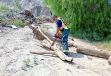 Eliminan taponamientos en Ramos Arizpe para proteger a familias de posibles inundaciones
