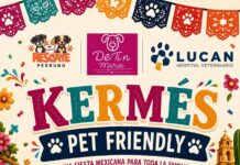 Invitan en Saltillo a kermés pet friendly a beneficio de perros rescatados