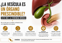 ¿La vesícula es un órgano prescindible? Esto dice la evidencia médica