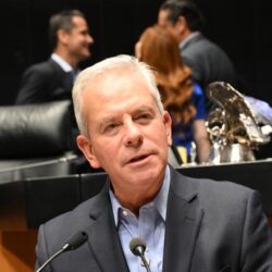 marcelo torres
