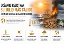 Océanos registran su julio más cálido en medio de olas de calor y sequías