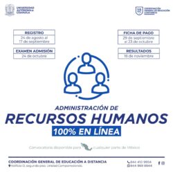 oferta 3