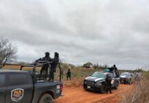 Policía Estatal y Fuerzas Armadas abaten a delincuente en enfrentamiento en Candela