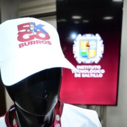 presentan