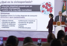 Pruebas en México han sido negativas a cyclospora, afirman