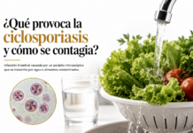 ¿Qué provoca la ciclosporiasis y cómo se contagia?