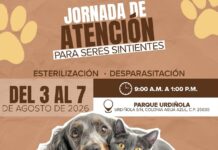Realizan en Saltillo Jornada de Atención para Seres Sintientes