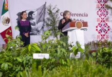 Participará Sierra de Arteaga en Jornada Nacional de Reforestación