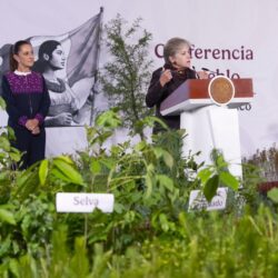 reforestarán