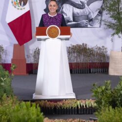 reforestarán 2