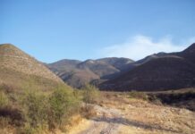 Van contra invasores y daños al patrimonio ecológico en Zapalinamé
