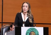 Propone diputada Verónica Martínez hasta 30 años de prisión por ecocidios