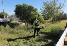 Alcalde Javier Díaz lleva limpieza exhaustiva a los arroyos Del 4 y Tetillas