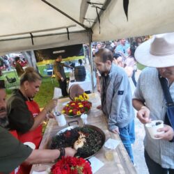 Celebran edición 2026 del Festival de la Paella en Saltillo