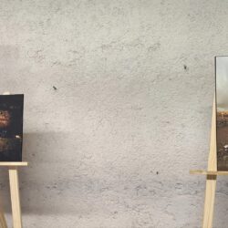 Comunidades que se niegan a desaparecer llegan a Saltillo para difundir su cultura10