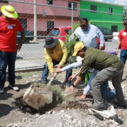 Convocan a negocios locales
