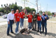 Convocan a negocios locales a sumarse a reforestación urbana en Saltillo