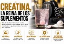 Creatina, la reina de los suplementos