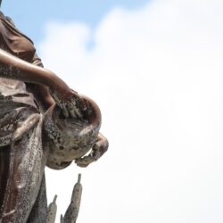 El rescate de una ninfa y las manos que los hicieron posible5