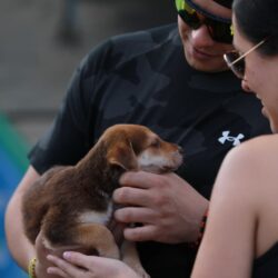En la Ruta Recreativa saltillenses se activan físicamente y conviven