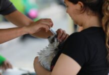 En la Ruta Recreativa saltillenses se activan físicamente y conviven