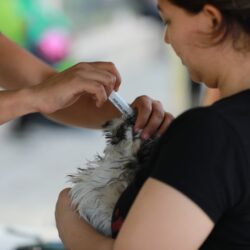 En la Ruta Recreativa saltillenses se activan físicamente y conviven4